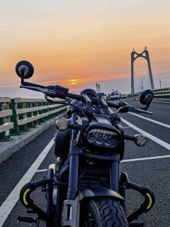 QJMOTOR 600 560 cc - фото 2