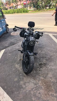 Zhufenghuaying 250 cc - фото 3