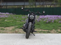 Benda 250 - фото 2