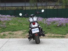 Benda 250 - фото 6