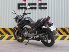 Haojue Suzuki GW250 - фото 6