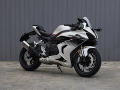 QJMOTOR 600 680 cc - фото 12