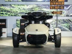 Pangbadi Spyder F3 1330 cc - фото 11