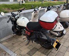 Zongshen Little Bear 150 cc - фото 1