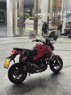 CFMOTO ST Baboon 125 cc - фото 3