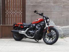 Harley-Davidson Nightster 975 cc - фото 12