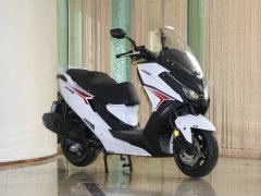KYMCO CT250 - фото 11