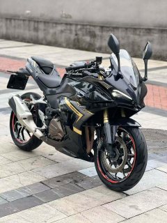 QJMOTOR 450 - фото 2