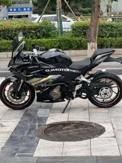 QJMOTOR 450 - фото 3