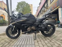 QJMOTOR 350 - фото 4