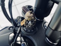 QJMOTOR 300 - фото 2