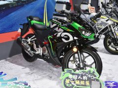 Dayun 200R - фото 11