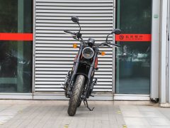 Harley-Davidson X 500 - фото 2