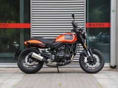 Harley-Davidson X 500 - фото 5