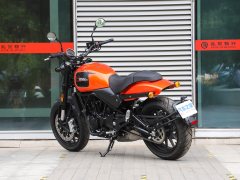 Harley-Davidson X 500 - фото 6