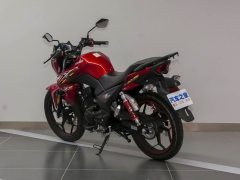 Haojue DF150 - фото 6