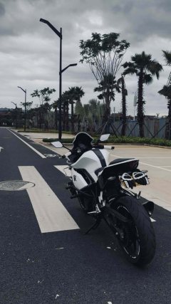 Kayo 250RR - фото 2