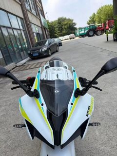 QJMOTOR SRK 250 - фото 4