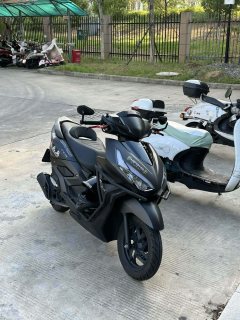Sundiro Honda NS125RX - фото 3