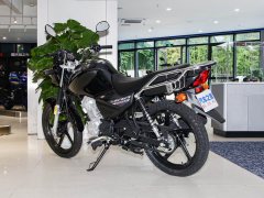 Jianshe Yamaha Edition YBR150Z - фото 6