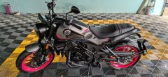 Benelli Leoncino 250 - фото 2