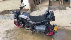 Benelli Leoncino 250 - фото 3