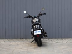QJMOTOR 300 - фото 6