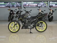 Jianshe Yamaha YS150 - фото 4
