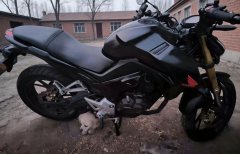 Sundiro Honda CBF190R - фото 4