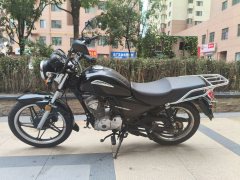 Sundiro Honda CBF125T - фото 2
