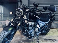 QJMOTOR 500S - фото 2