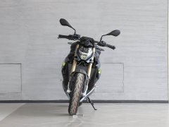BMW S 1000 R - фото 2