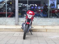 Wuyang Honda 150 - фото 10