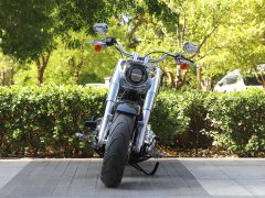 Harley-Davidson Fat Boy 1923 cc - фото 11