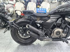 Cyclone AQS401 400 cc - фото 2