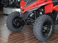CFMOTO CFORCE 110 - фото 10