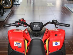 CFMOTO CFORCE 110 - фото 12