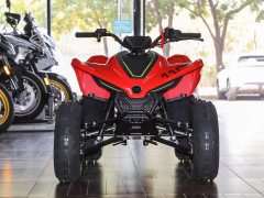 CFMOTO CFORCE 110 - фото 2