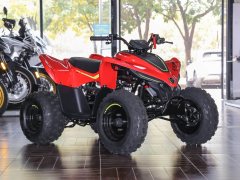 CFMOTO CFORCE 110 - фото 3