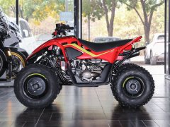 CFMOTO CFORCE 110 - фото 4