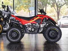 CFMOTO CFORCE 110 - фото 5