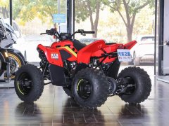 CFMOTO CFORCE 110 - фото 6