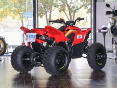 CFMOTO CFORCE 110 - фото 8
