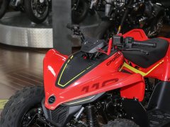 CFMOTO CFORCE 110 - фото 9