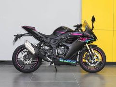 Voge 250RR - фото 8