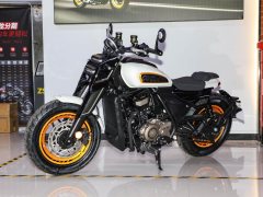 Cyclone AQS401 400 cc - фото 1