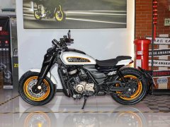 Cyclone AQS401 400 cc - фото 4