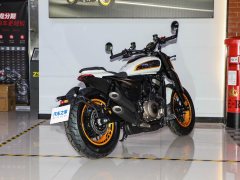 Cyclone AQS401 400 cc - фото 7