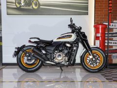 Cyclone AQS401 400 cc - фото 8