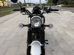 Cyclone RA2 250 cc - фото 2